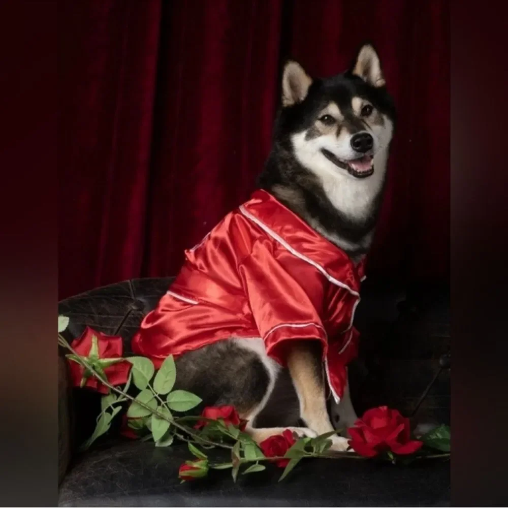 Red Silk Pet Robe Costume,‎ XOXO, Vibrant Life Clothing. Valentine's, Halloween,